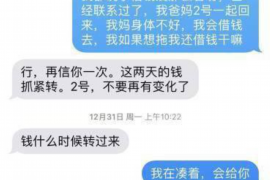 鹤城遇到恶意拖欠？专业追讨公司帮您解决烦恼